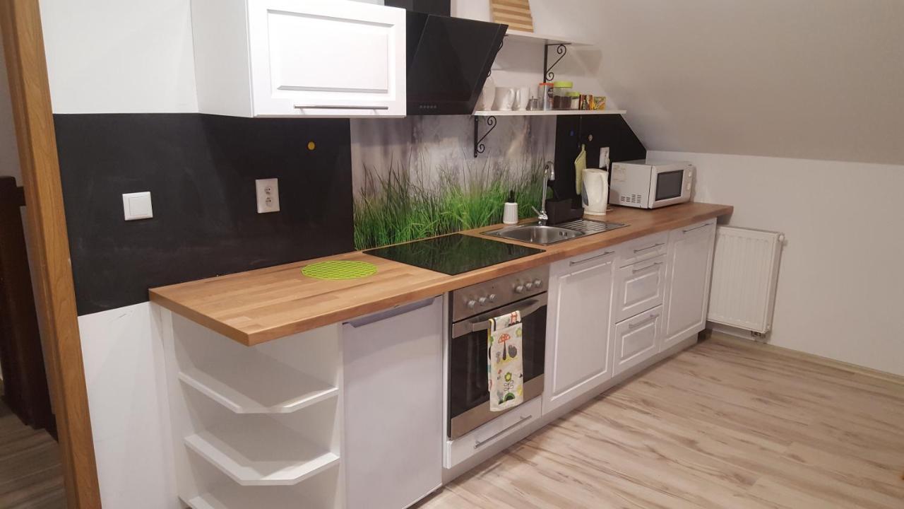 Apartamenty - Pod Wierzbami Dwikozy Exterior foto